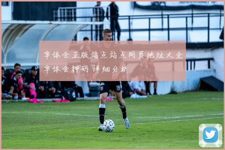 华体会正版站点站点网页地址大全华体会押码 详细分析