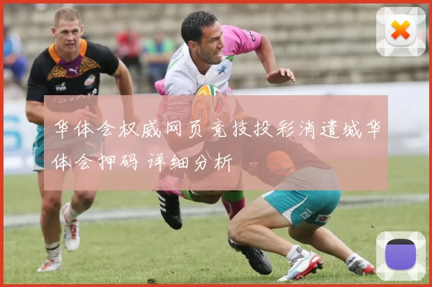 华体会权威网页竞技投彩消遣城华体会押码 详细分析