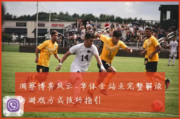 洞察博弈风云_华体会站点完整解读与游戏方式技巧指引