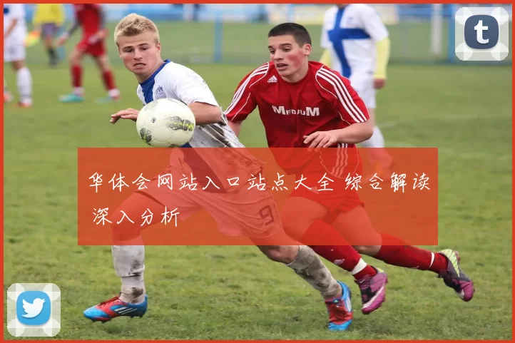 华体会网站入口站点大全 综合解读 深入分析