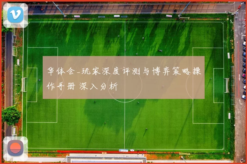 华体会_玩家深度评测与博弈策略操作手册 深入分析